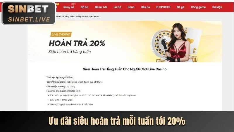 Ưu đãi thưởng và hoàn trả cao hơn cho VIP